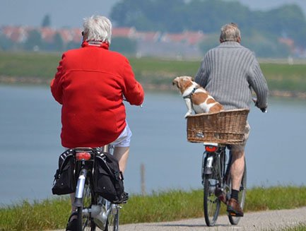 Two men riding bikes together. One has a dog in his basket.