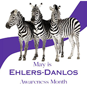 Picture of three black and white zebras on a purple and white backgrouns with purple text May is Ehlers-Danlos Awareness Month